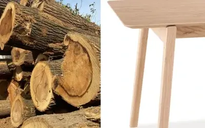 A Second Life for City Trees: Transforming Urban Wood into Sustainable Furniture
