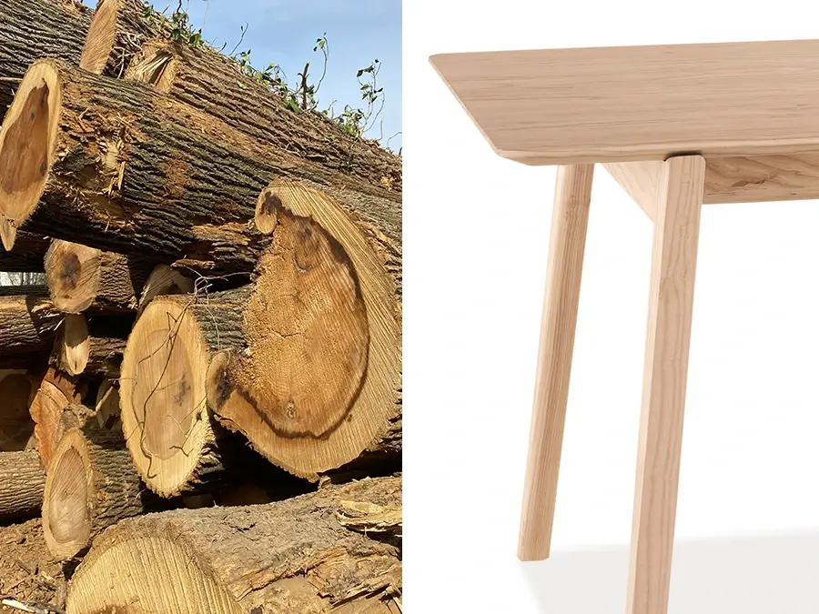 A Second Life for City Trees: Transforming Urban Wood into Sustainable Furniture