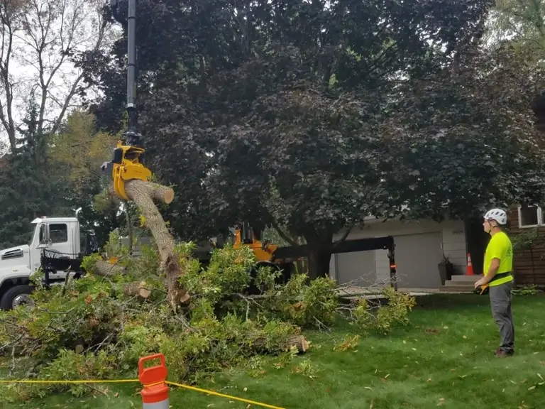 Outdoor shot of a large crane lifting a fallen tree out of a suburban yard while a tree removal professional in hard hat looks on.