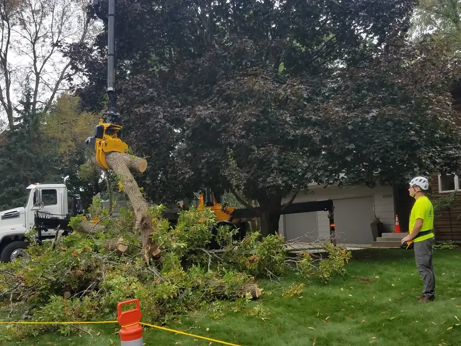 Outdoor shot of a large crane lifting a fallen tree out of a suburban yard while a tree removal professional in hard hat looks on.