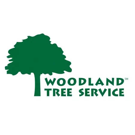 Woodland Tree Service logo