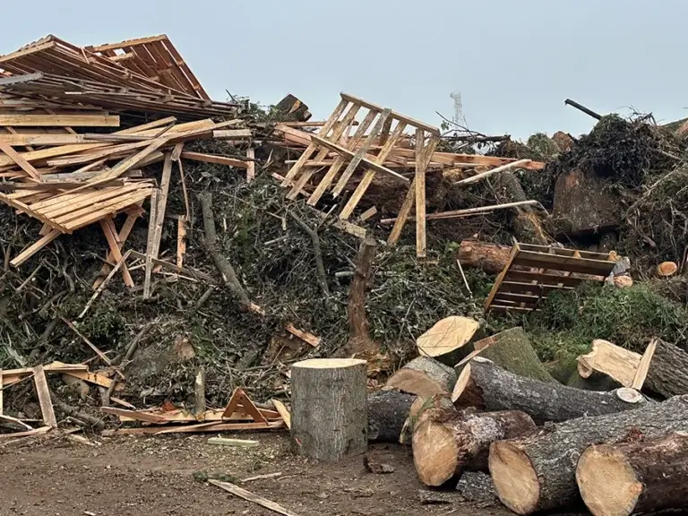 Large outdoor pile of waste wood including branches, logs and broken wooden palettes.